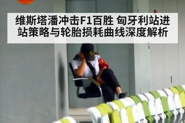 维斯塔潘冲击F1百胜 匈牙利站进站策略与轮胎损耗曲线深度解析